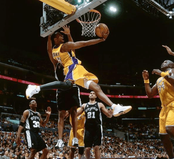 树立了一个 树立了一个